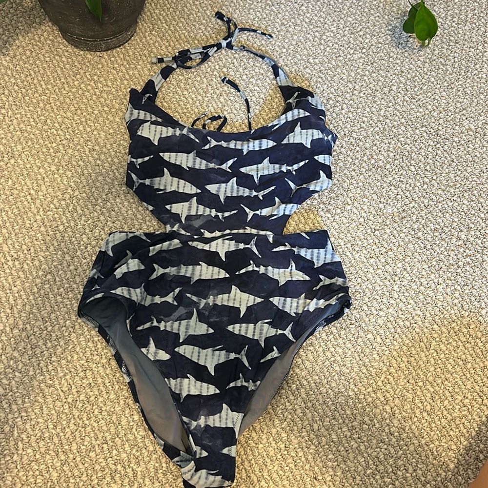 Aerie large shark swim ….